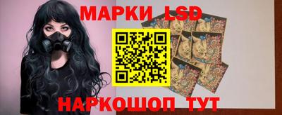 гидропоника Вязьма