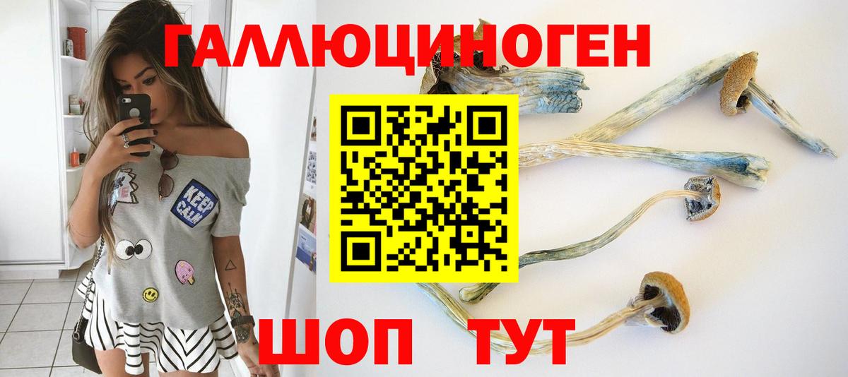 Топки  Галлюциногенные грибы Cubensis  Вход с VPN 
